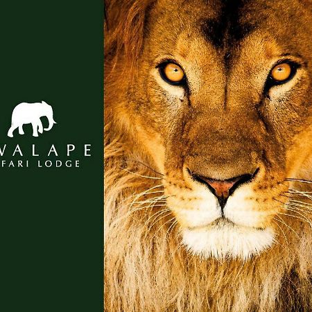 Kwalape Safari Lodge Kasane Dış mekan fotoğraf