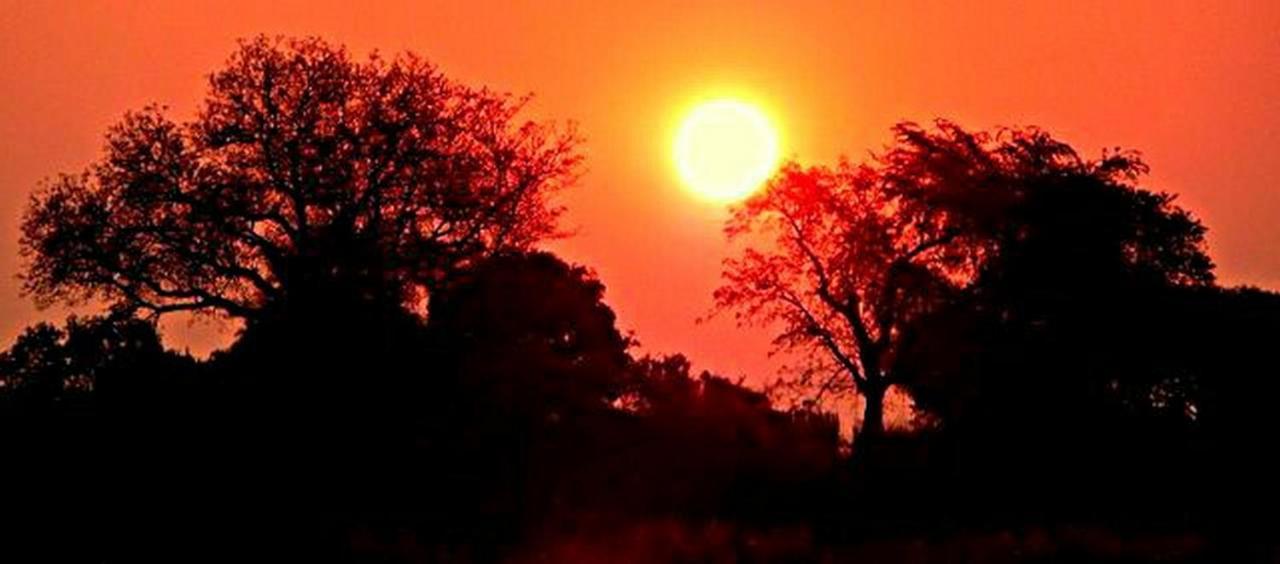 Kwalape Safari Lodge Kasane Dış mekan fotoğraf