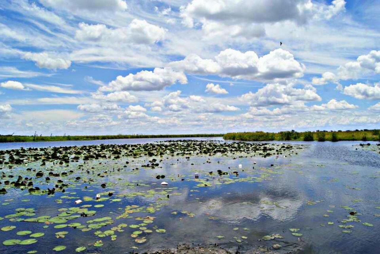 Kwalape Safari Lodge Kasane Dış mekan fotoğraf